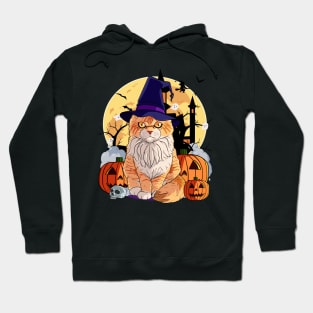 Maine Coon Cat Cute Witch Halloween Pumpkin Hoodie